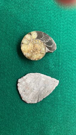 Fossil and slice of meteorite millions and billions of years old!