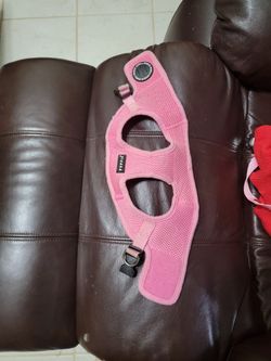 Small Doggie Harness