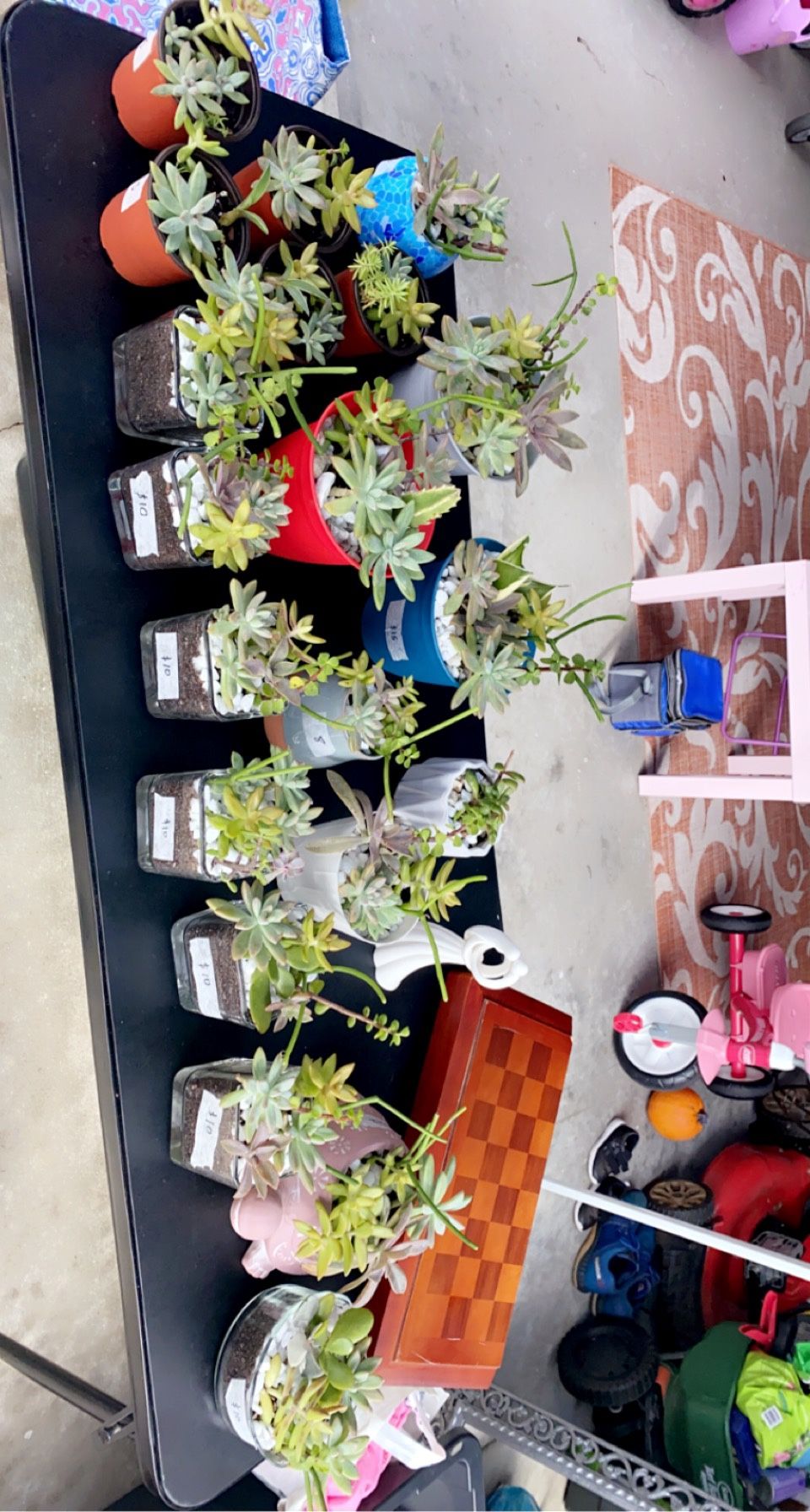 Beautiful Succulent Arrangements