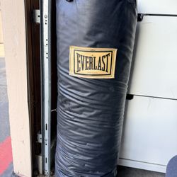 Everlast 80lb punching bag.