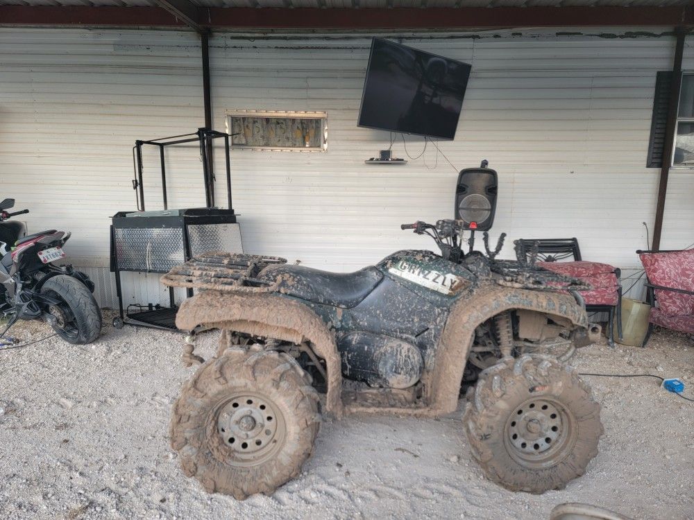 Photo 2002 yamaha grizzly