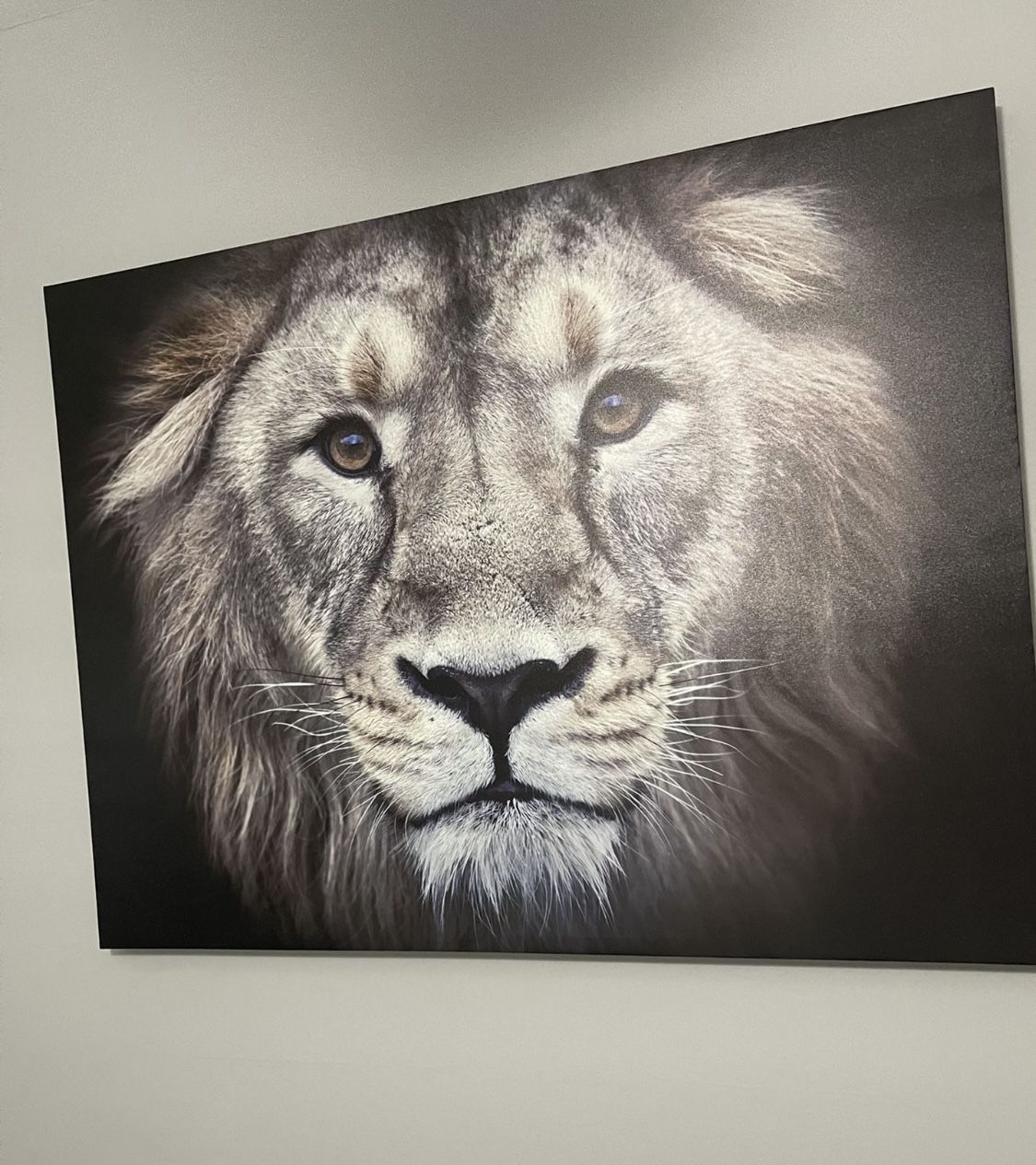 Lion Art