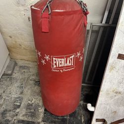 Everlast Heavy Bag