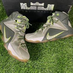 Size 11 - Nike Lebron 12 "Dunkman"