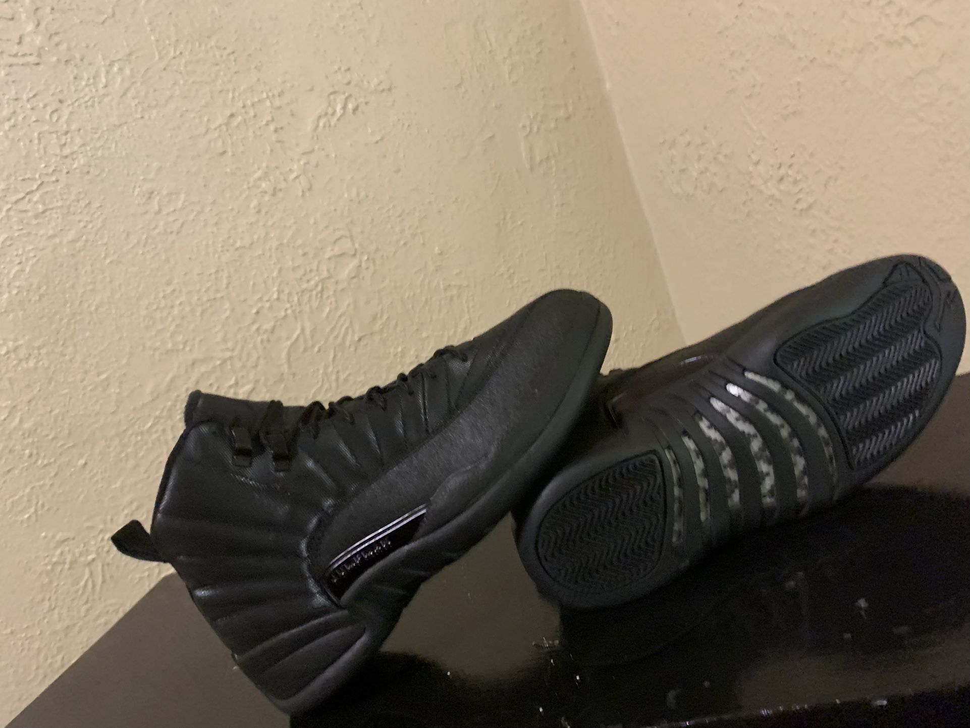 Air Jordan Retro 12 Waterproof Winter Proof