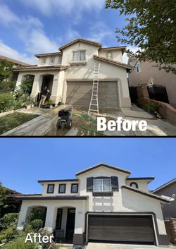 Painting Services