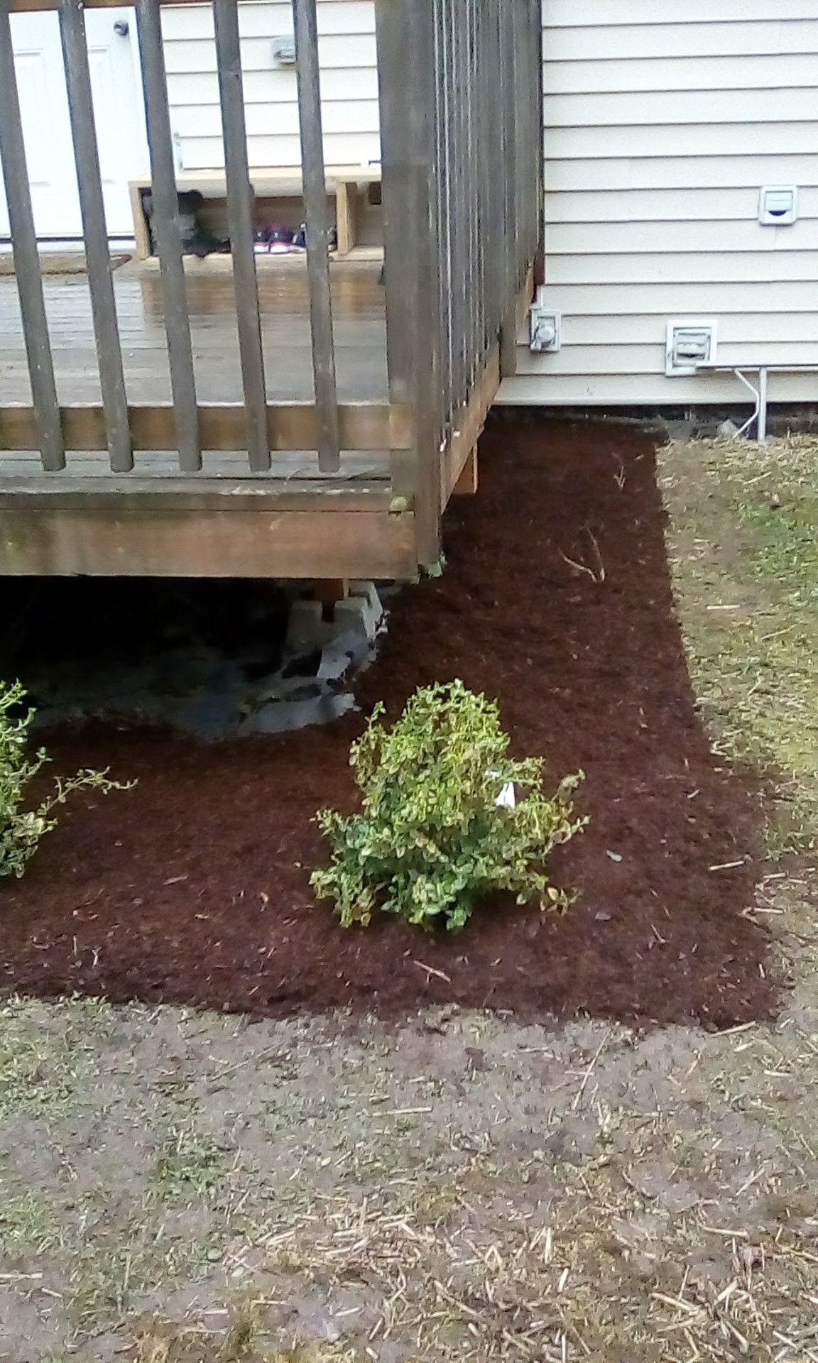 Weeding and putting in bark and new plants