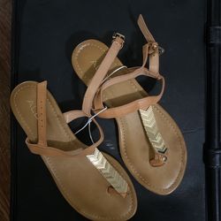 Aldo