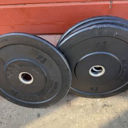 Olympic Titan 10 Lbs Weight 