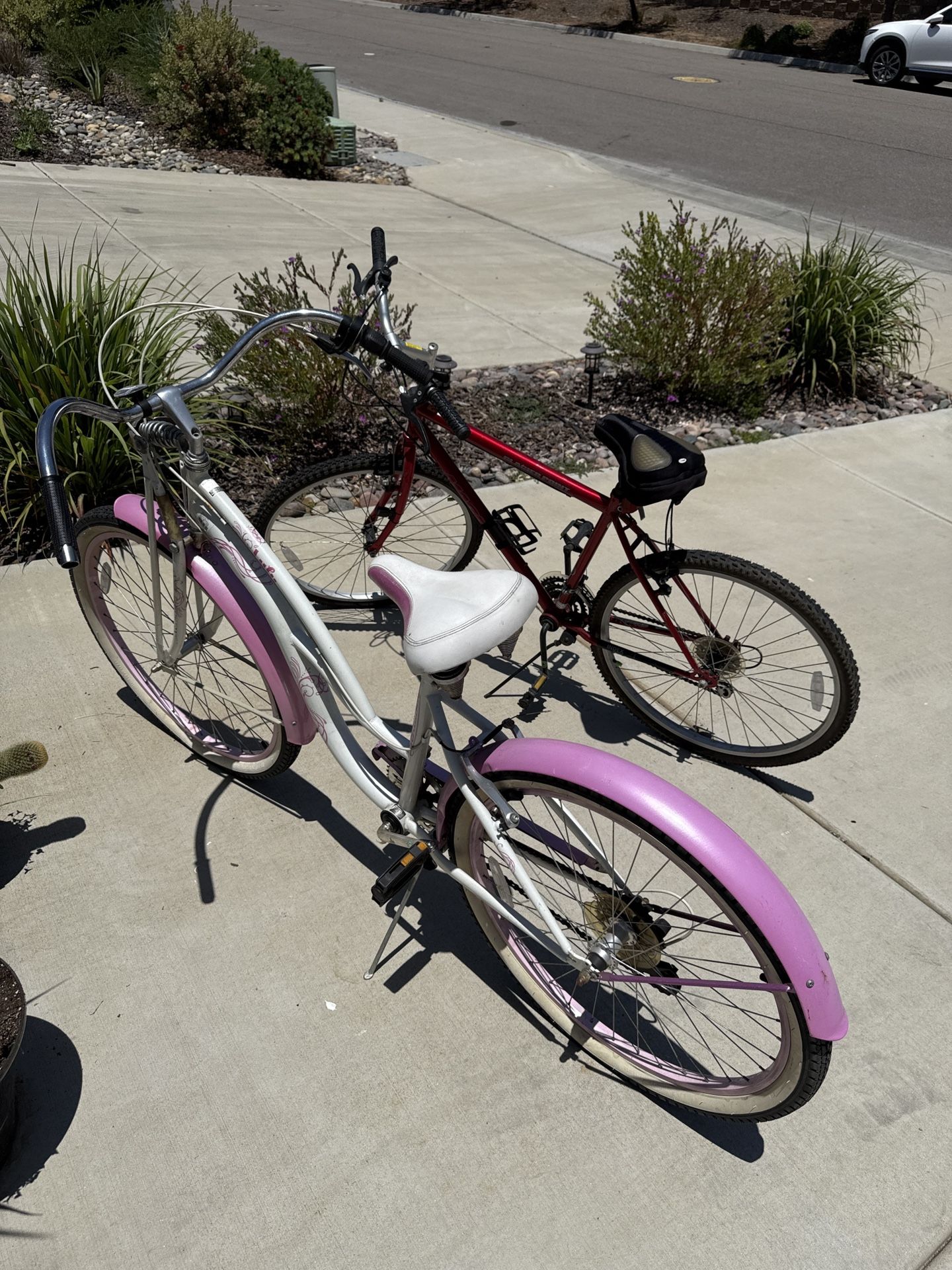 2 Adult Bikes β Schwinn Cruiser & Magma Mountain Bike β $100 For Both