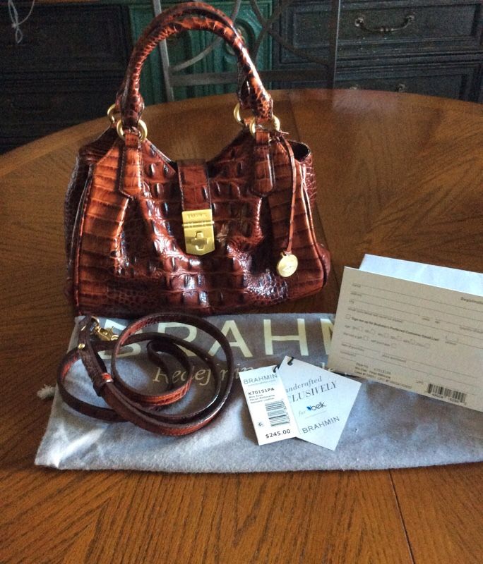 Best Authentic Louis Vuitton Mini Purse for sale in Wilmington