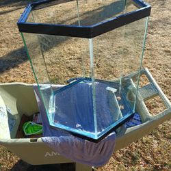 35 gallon Hex aquarium 