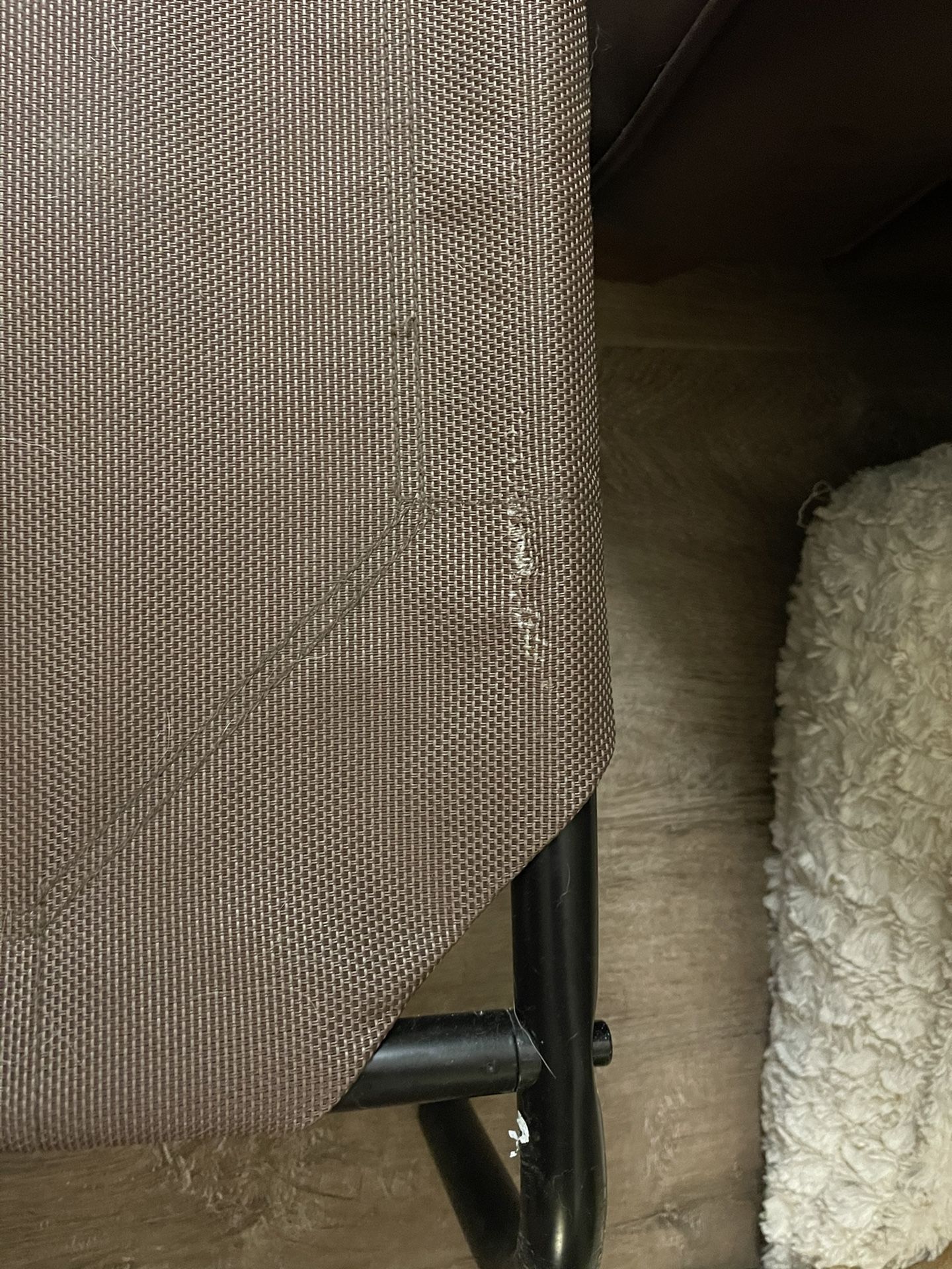 Large Elevated Dog Bed