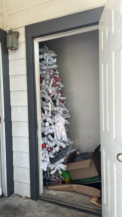 White Xmas tree