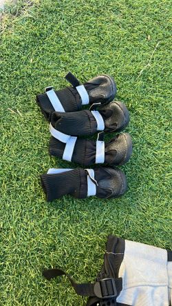 Dog Shoes
