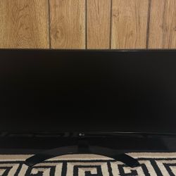 LG Monitor 