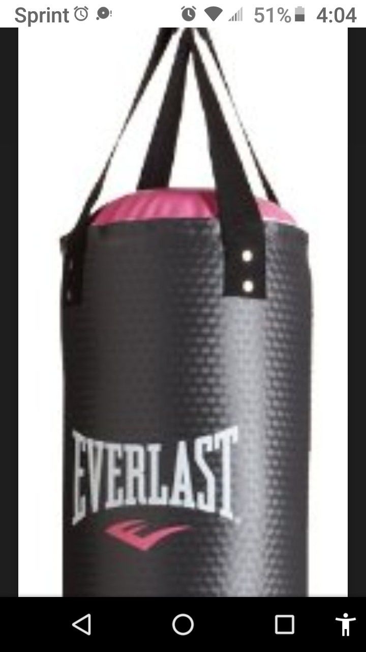 new Everlast 40 lb punching bag