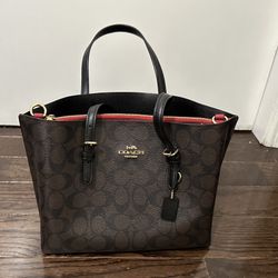 Coach Bag (original)