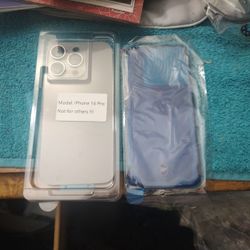 iPhone 16 Pro  Back Screen 