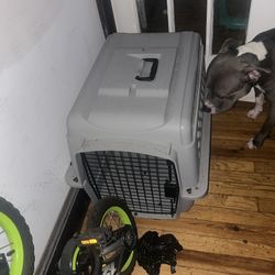 Doggie Carriage 