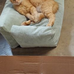 Petsofa