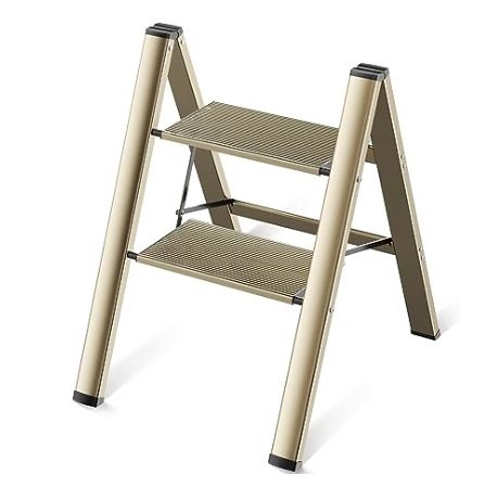 2 Step Ladder