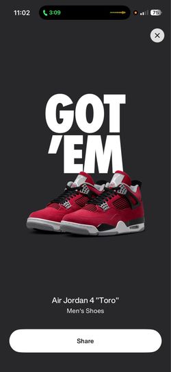 Toro bravo 4’s