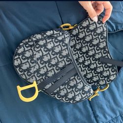 Dior Saddle Bag