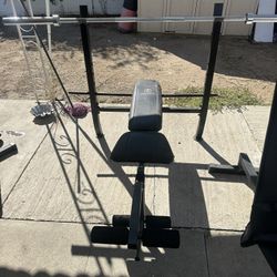 Olympic bar, and bench.