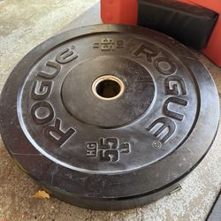 55lb Rogue Bumper Weight