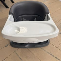 Ingenuity Booster Seat