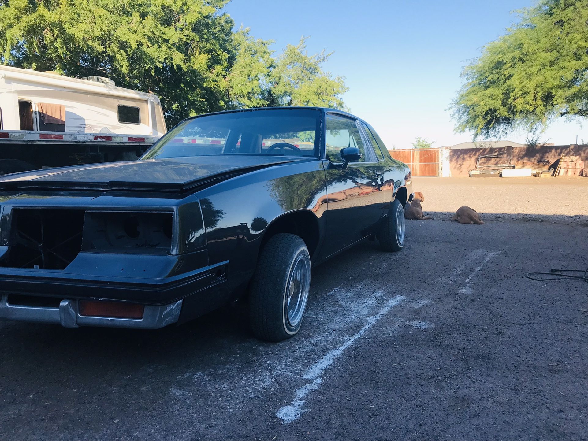 Paint For Sale