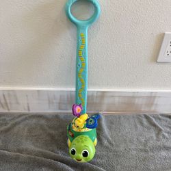 VTech Baby 2-in-1 Push & Discover Turtle, Push Along Toy