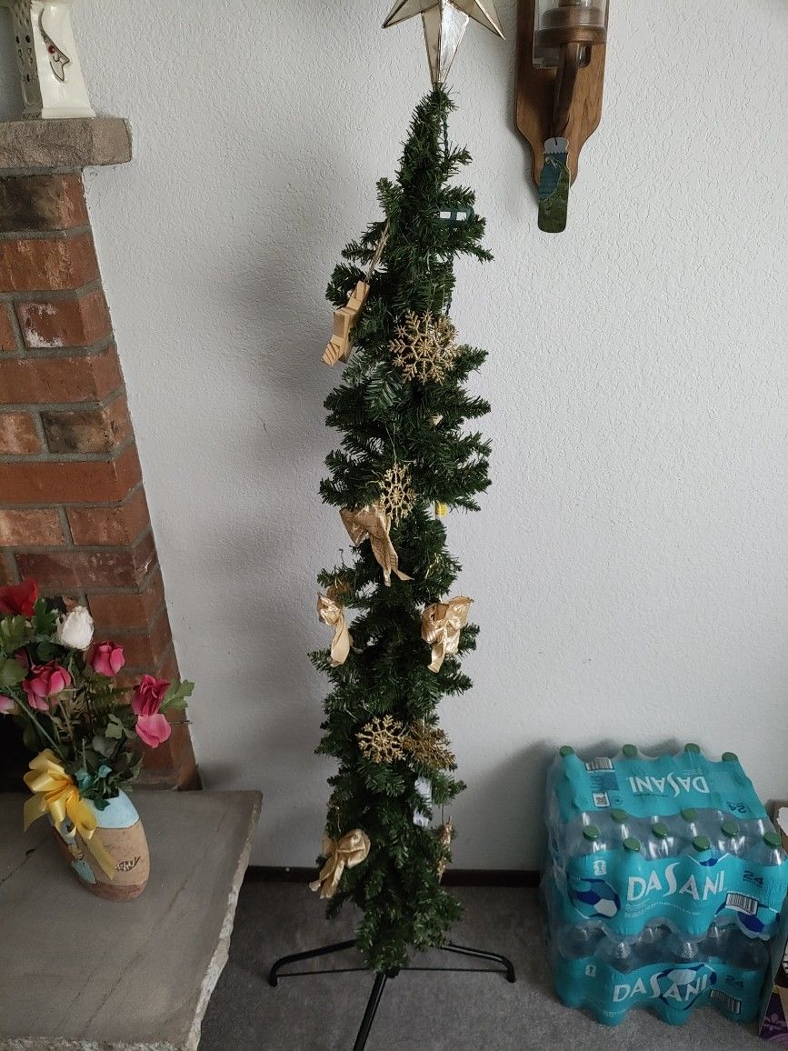 Pencil Tree. Nice And Skinny For Small Places