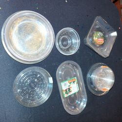 Fresh Floral Plastic Trays (set)