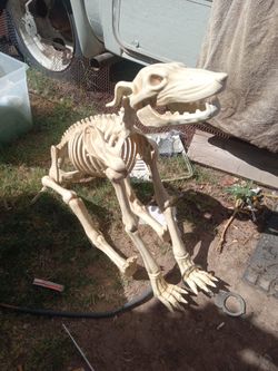 Halloween decoration