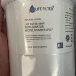 Refrigerator Water Filter 