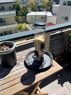 Bird feeder