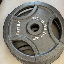 Fitness Gear 45 Lb Weights X2