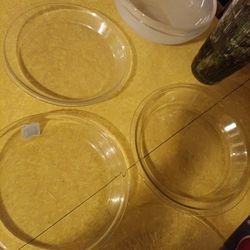 Pyrex Glass Fogged Plates 
