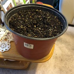 Plant Pot With Dirt 