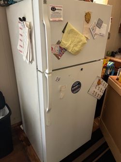 Fridge white