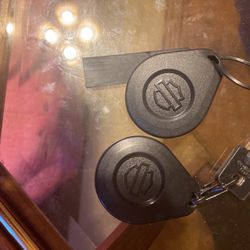 2022 Harley Davidson Street glide