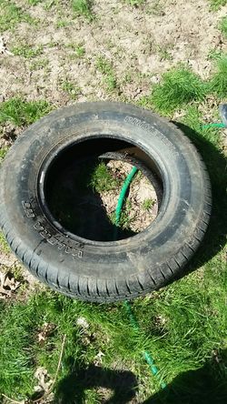 Tire