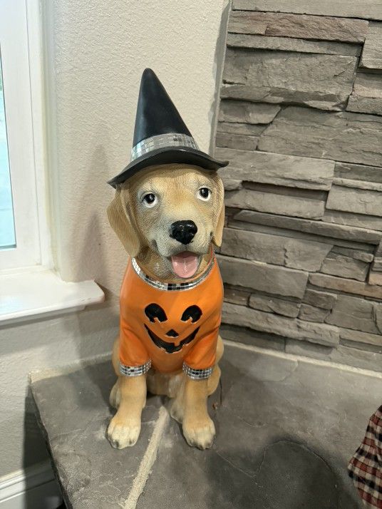 Halloween Dog