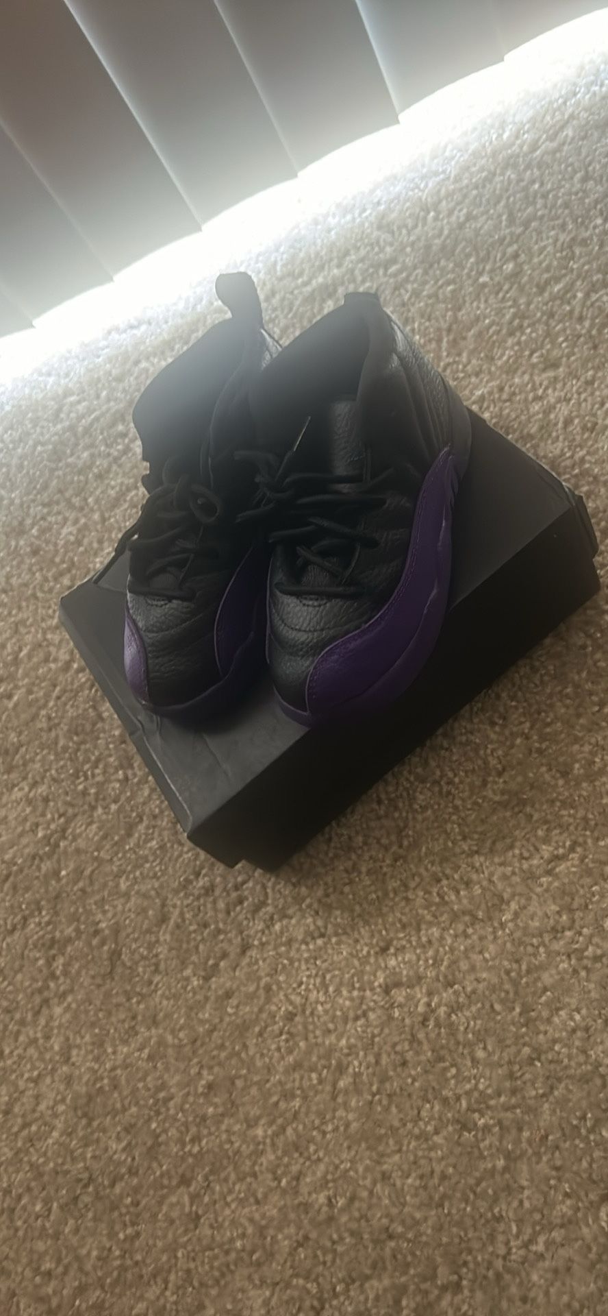 $50 Jordan 12s For Sale Size 10c
