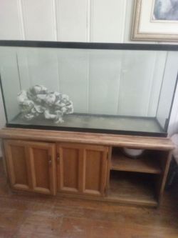 40 gallon fish tank everything included no fish