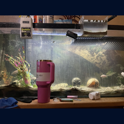 57 gallon full bundle fish tank aquarium