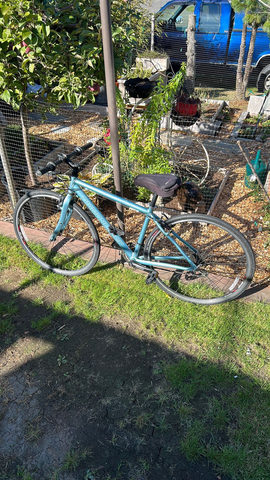 Diamondback Road Bike