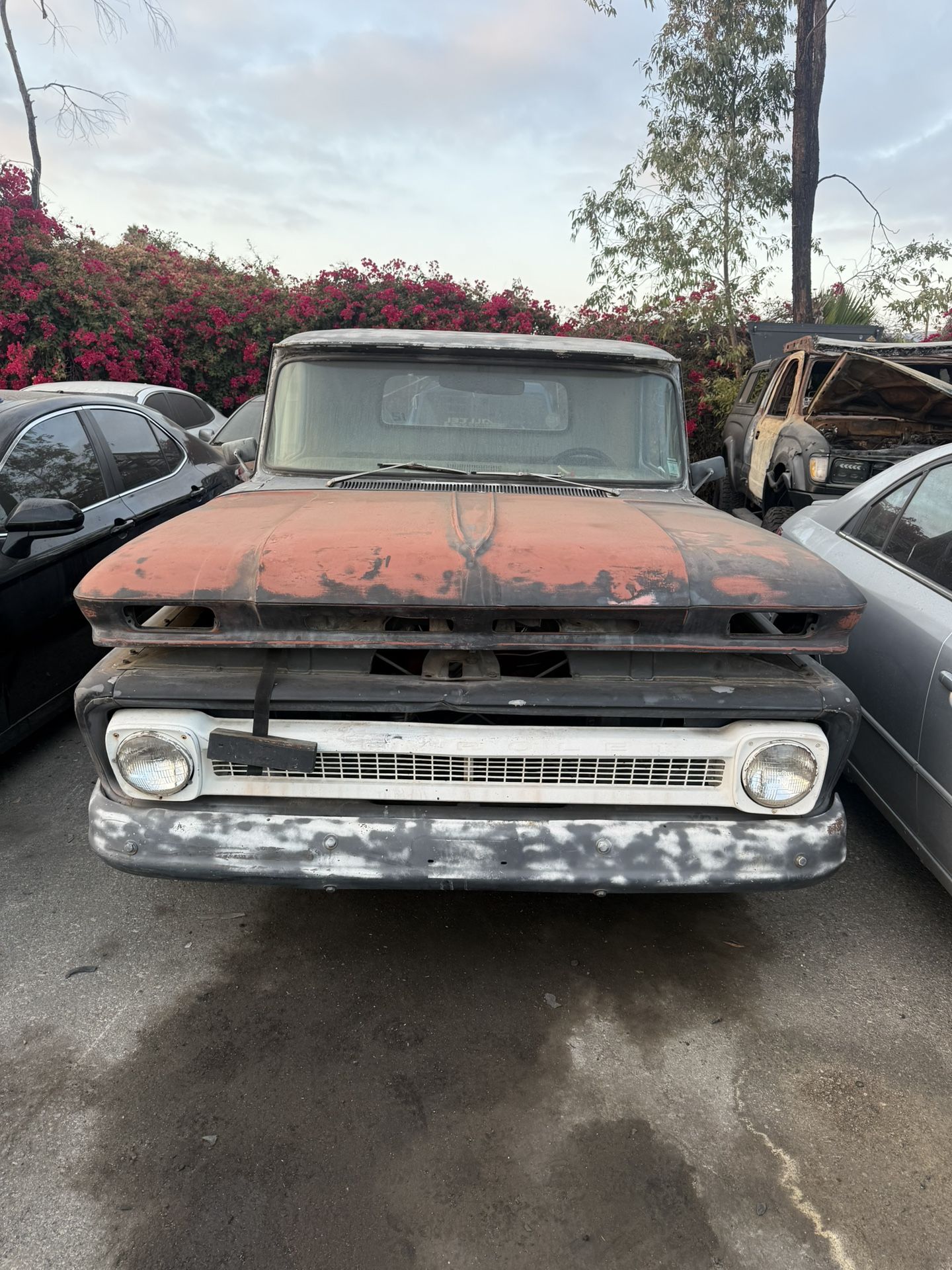 1966 Chevy C10